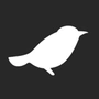 Saturnbird