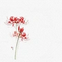 花渐隐
