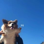 TidySongs