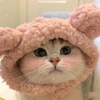 覃志炜