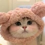 覃志炜