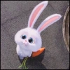 兔兔那么可爱不要吃我