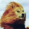 张明硕