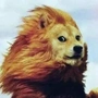 张明硕