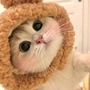 虾条biu