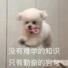 小王上分嘎嘎猛