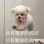 小王上分嘎嘎猛