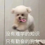 小王上分嘎嘎猛