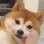 makkapakka