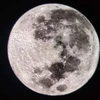 lanqiao5644127005