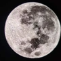 lanqiao5644127005