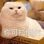 今天学习了吗