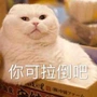今天学习了吗