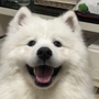宋亚明
