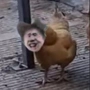 厉不厉害你坤哥