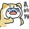 Ac玩家