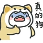 Ac玩家
