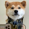 AIshuo