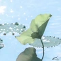 嗨害害