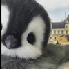 秃头小宝贝