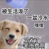 接杯冷水烧开喝的妮妮