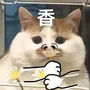 李从嘉