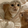 李曼