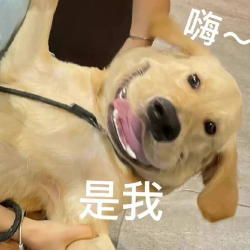 李元威风堂堂