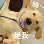 李元威风堂堂