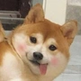 谭含天