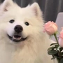 蓝桥确实难敲