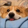 皮一下很开心