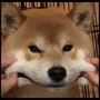 余锐