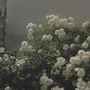 还能加饭吗