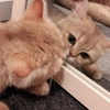 mmno1