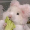 小花