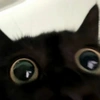 谁
