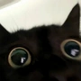 谁
