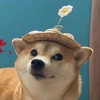 刘仕杰CCSU