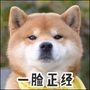 来一瓶养乐多