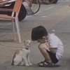 荀彦豪