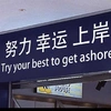 lanqiao4133909937