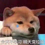 Ang