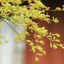 小雨