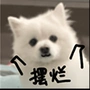 一直在摆烂