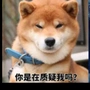 日出而作