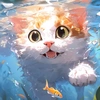 小白