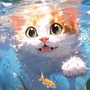 小白