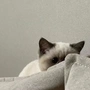自然醒