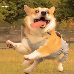 什么刘